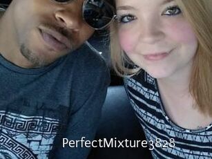 PerfectMixture3828
