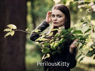 Perilous_Kitty