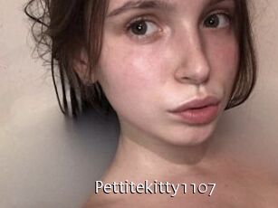 Pettitekitty1107