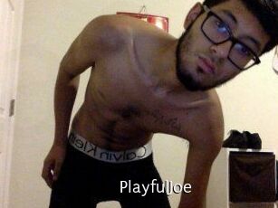 PlayfulJoe