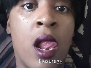 Plesure35 Anal Fist