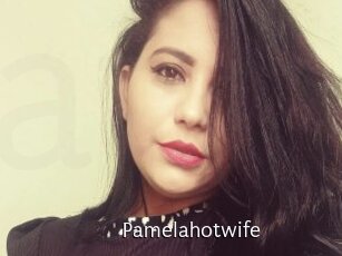 pamelahotwife Anal Fist