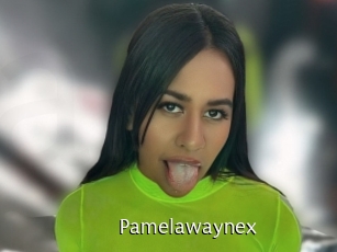 Pamelawaynex