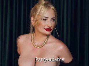 pamyadams Anal Fist