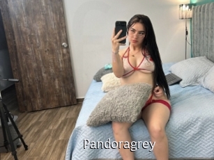 Pandoragrey