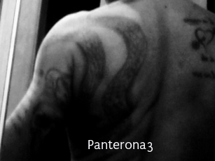 Panterona3