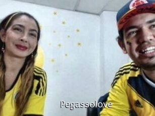 Pegasso_love