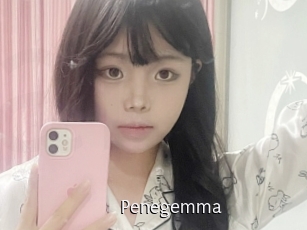 Penegemma