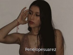Penelopesuarez