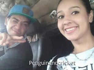 Penguinandcricket