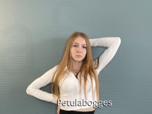 Petulabogges
