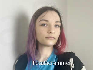 Petulacrammer