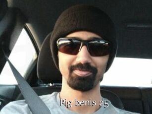 pig_benis_25 Anal Fist