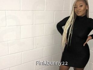 Pinkbunny22