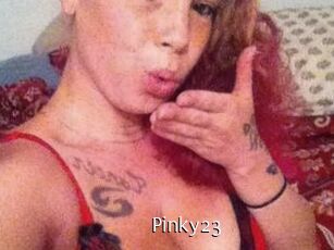 Pinky23