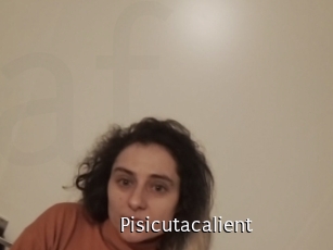 Pisicutacalient