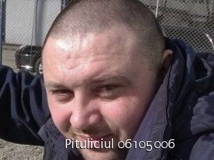 Pituliciul-06105006