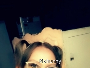 Pixbunny