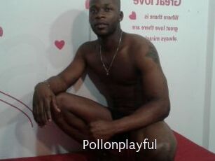 Pollonplayful