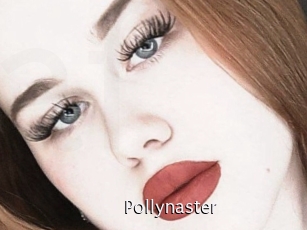 Pollynaster