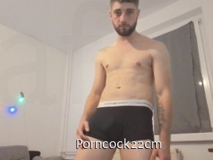Porncock22cm