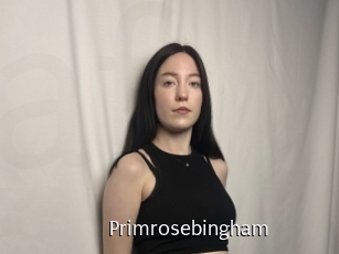 Primrosebingham