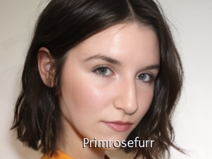 Primrosefurr
