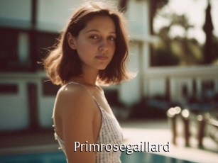 Primrosegaillard