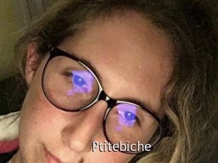 Ptitebiche