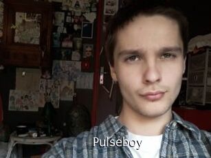 pulseboy Anal Fist