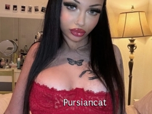 Pursiancat