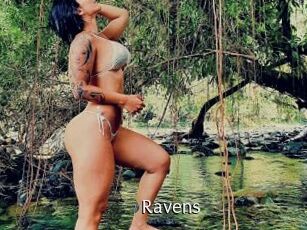 Ravens Anal Fist