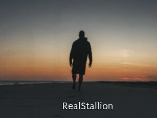 RealStallion