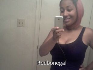 Redbonegal