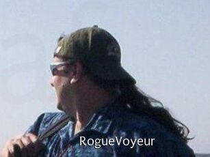 RogueVoyeur
