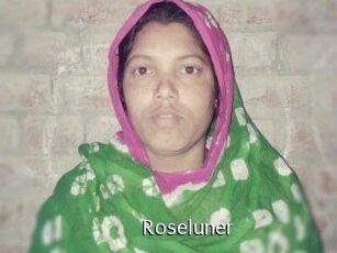 Roseluner Anal Fist