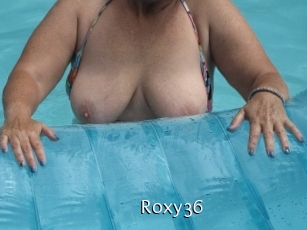 roxy36 Anal Fist