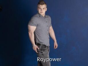Roypower Anal Fist