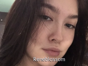 Reneblossom
