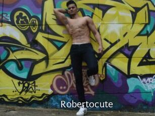 robertocute Anal Fist