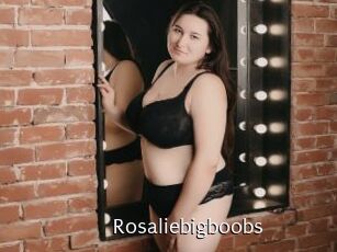 Rosaliebigboobs
