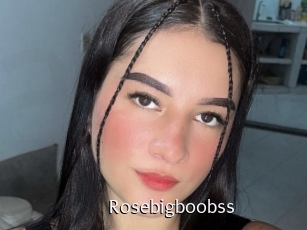 Rosebigboobss