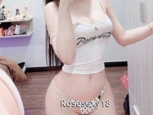 rosesexy18 Anal Fist