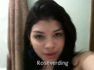 roseverding Anal Fist