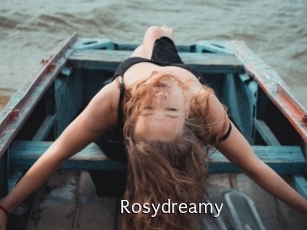 rosydreamy Anal Fist