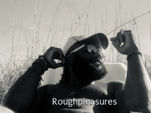 Roughpleasures