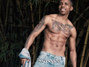 Roycoper
