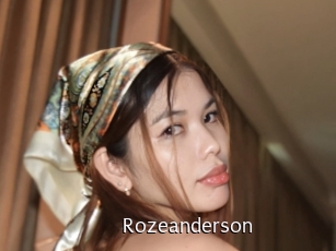 rozeanderson Anal Fist