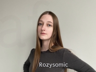 rozysomic Anal Fist