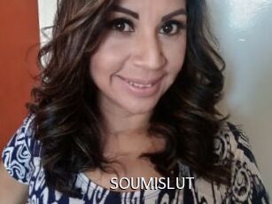 SOUMISLUT